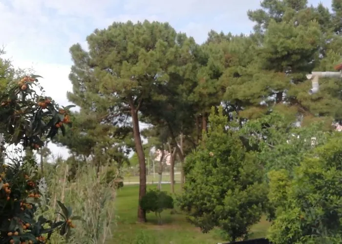 Marialva Park 3* Corroios